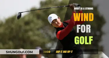 Strong Winds and Golf: How Much is Too Much for Your Game?