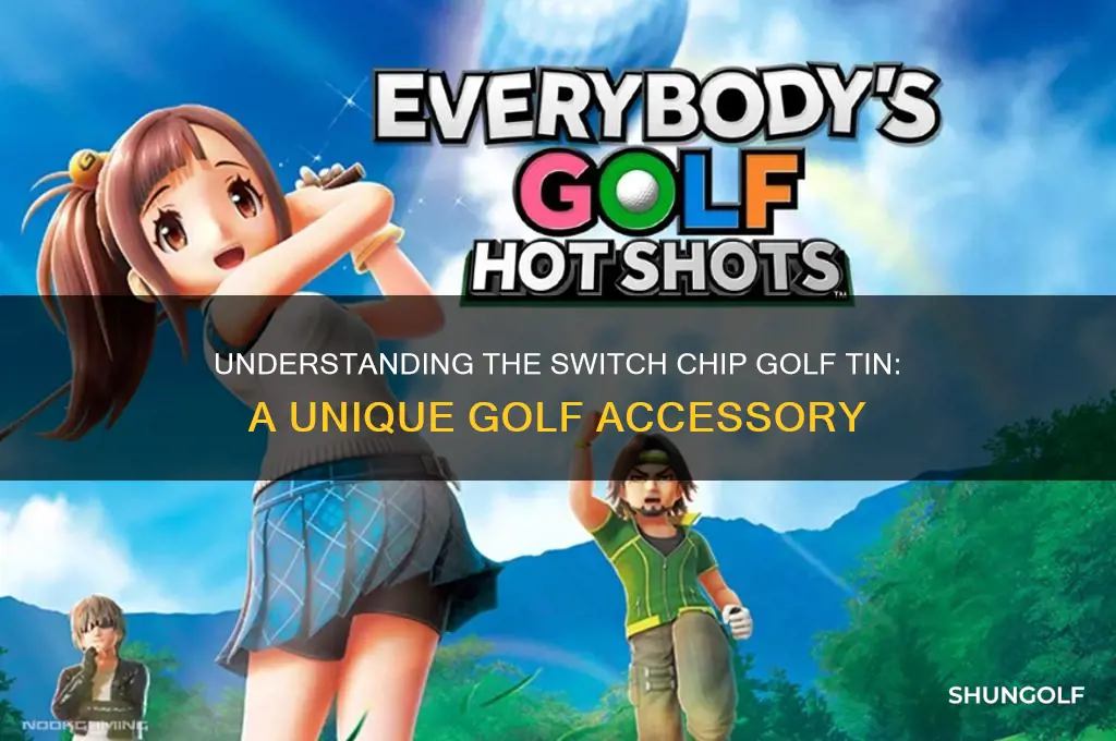 what is a switch chip golf tin