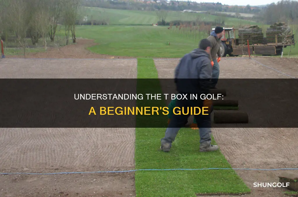what is a t box in golf