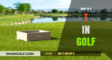 Golf's T: A Guide to Tee Boxes