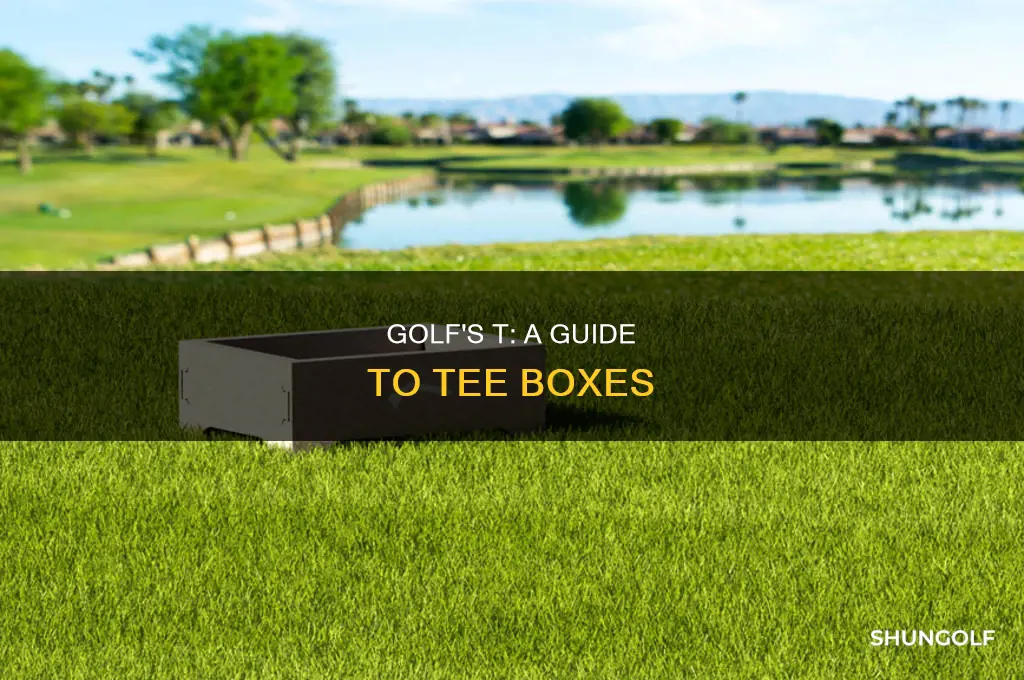what is a t in golf