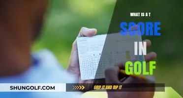 Understanding T Scores in Golf: A Beginner's Guide to Handicap Calculation