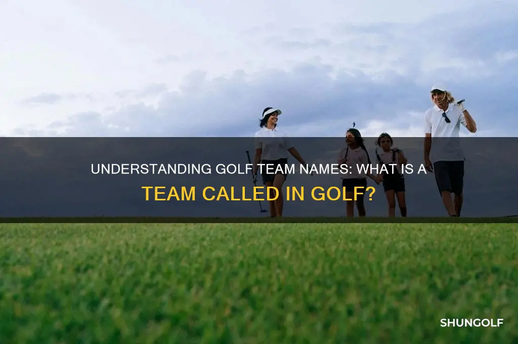 what is a team called in golf