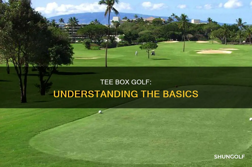 what is a tee box golf