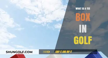 Understanding the Tee Box: A Beginner's Guide to Golf's Starting Point