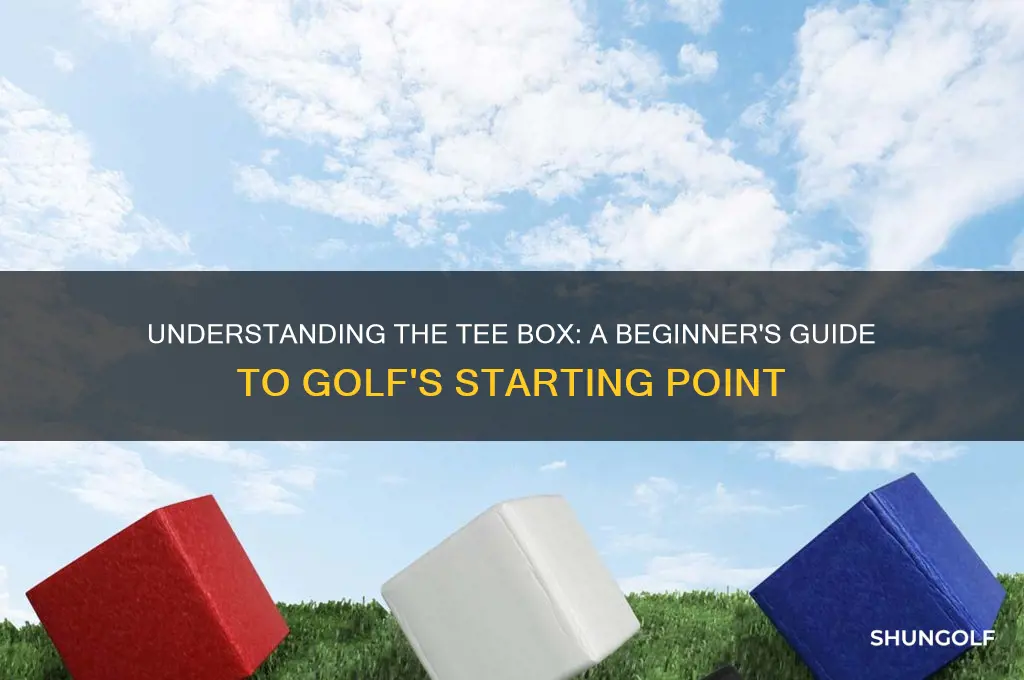 what is a tee box in golf