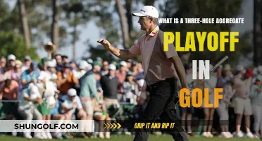 Understanding Golf's Three-Hole Aggregate Playoff Format and Rules