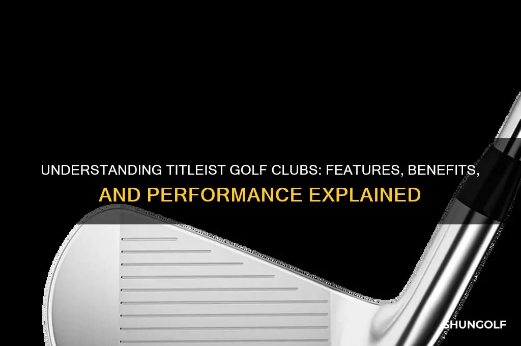 what is a titleist golf club