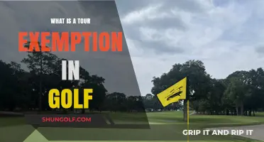 Understanding Golf's Tour Exemption: Benefits, Eligibility, and Impact Explained