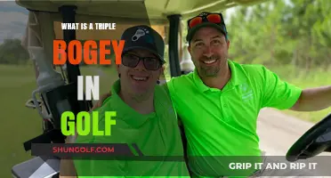 Understanding the Triple Bogey: A Golfer's Guide to This Score