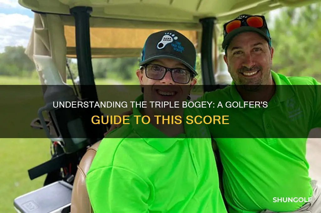 what is a triple bogey in golf