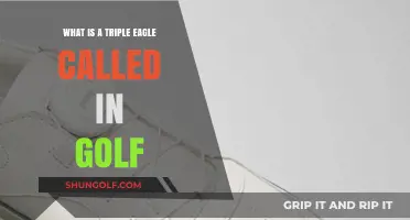 Unveiling Golf's Rarest Feat: The Triple Eagle's Unique Name Explained