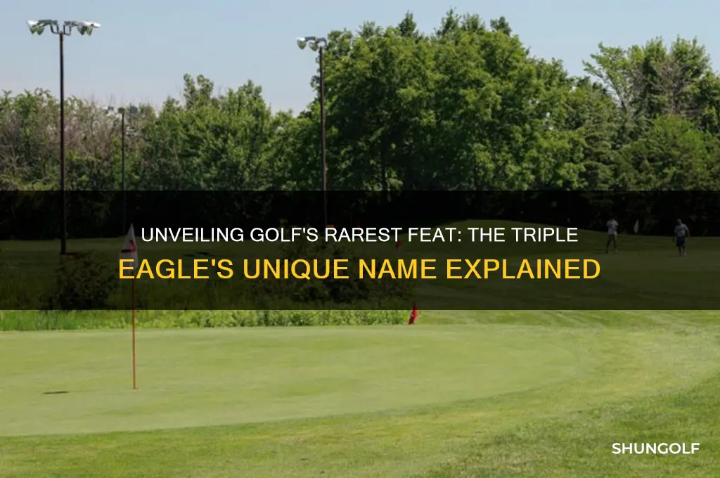 what is a triple eagle called in golf