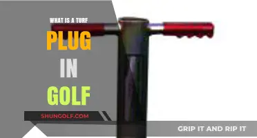 Understanding Turf Plugs: A Golfer's Guide to Course Maintenance