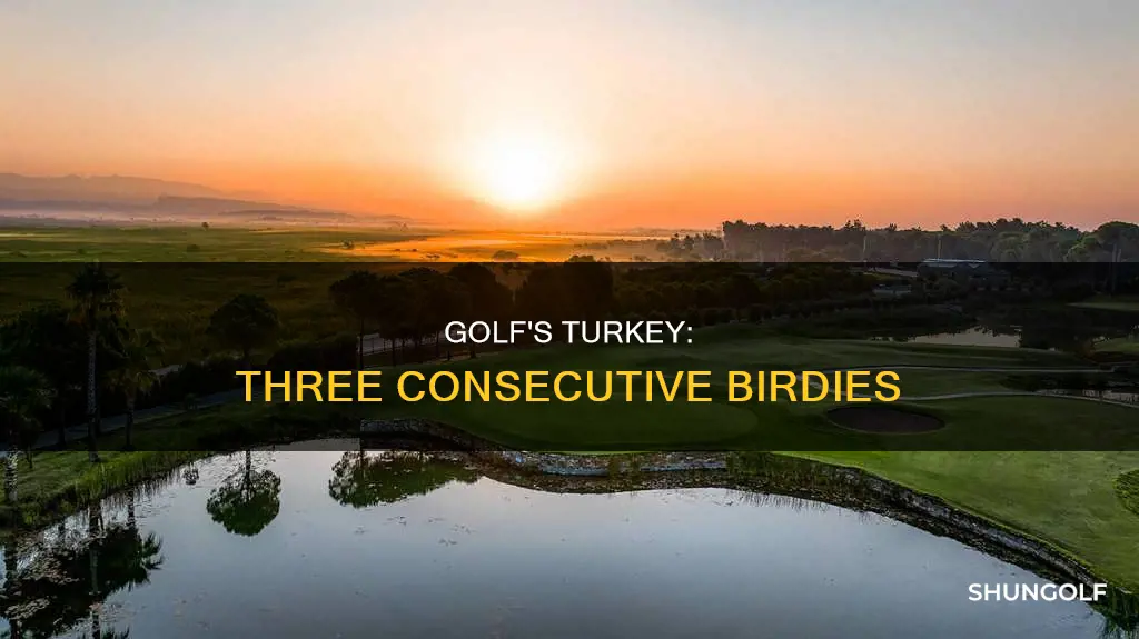 what is a turkey in golf