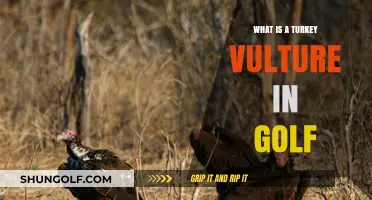 Turkey Vulture in Golf: Unraveling the Unique Scoring Term