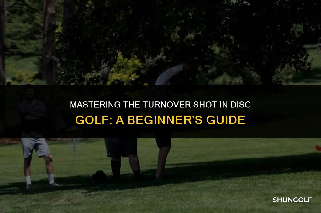 what is a turnover disc golf shot