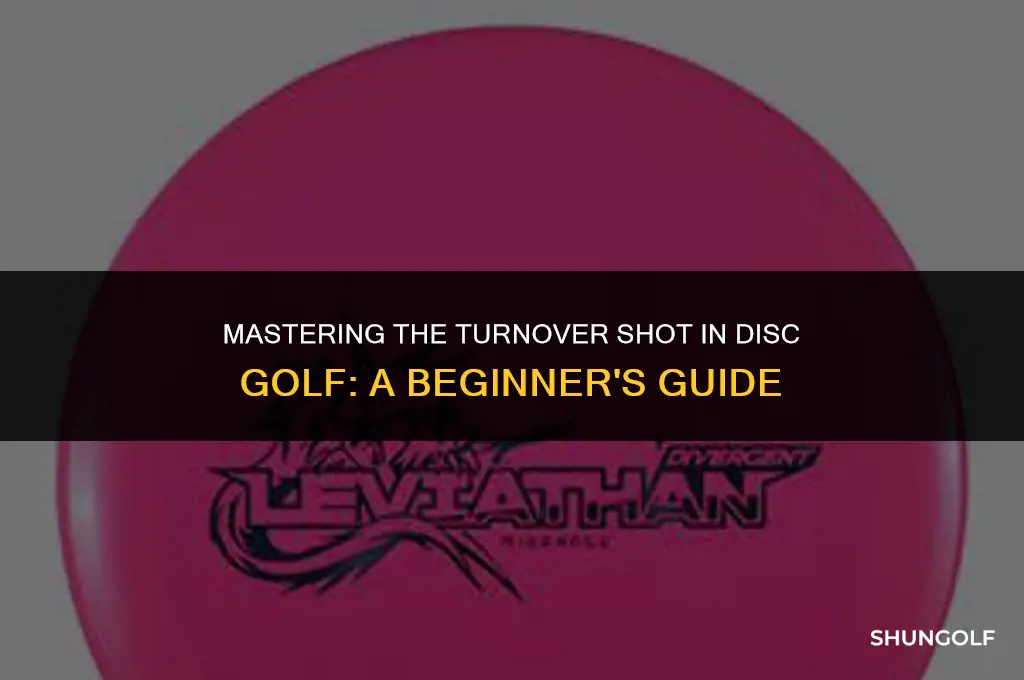 what is a turnover in disc golf
