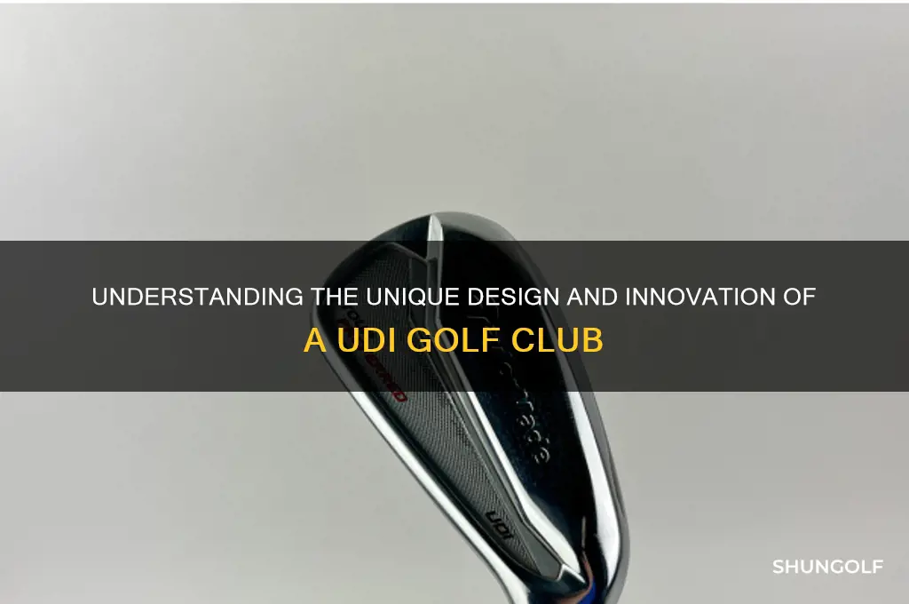 what is a udi golf club