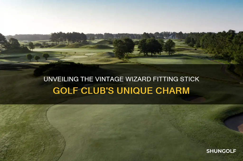 what is a vintage wizard fitting stick golf club
