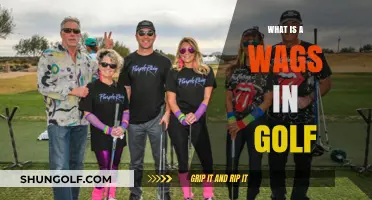 Golf WAGs: Who Are These Women?