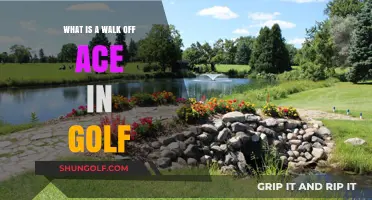 Understanding the Walk-Off Ace: Golf's Ultimate Hole-in-One Achievement