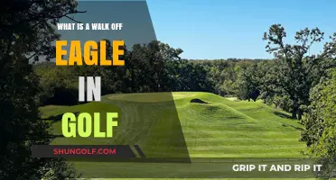 Understanding the Walk-Off Eagle: Golf's Dramatic Hole-Winning Shot Explained