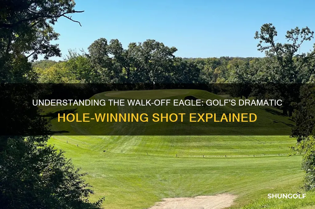 what is a walk off eagle in golf