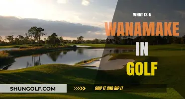 Golf's Wanamaker Trophy: A History of PGA Championships
