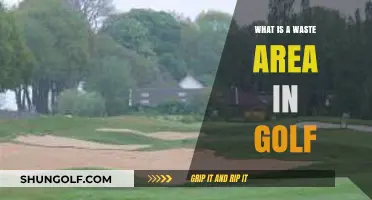 Understanding Golf's Waste Area: Rules, Strategy, and Course Management