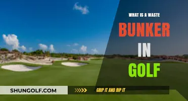 Understanding Golf's Waste Bunker: Purpose, Rules, and Strategic Play