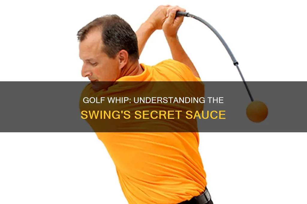 what is a whip in golf
