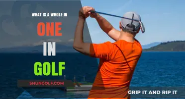 Understanding the Rare and Exciting Golf Achievement: A Hole-in-One