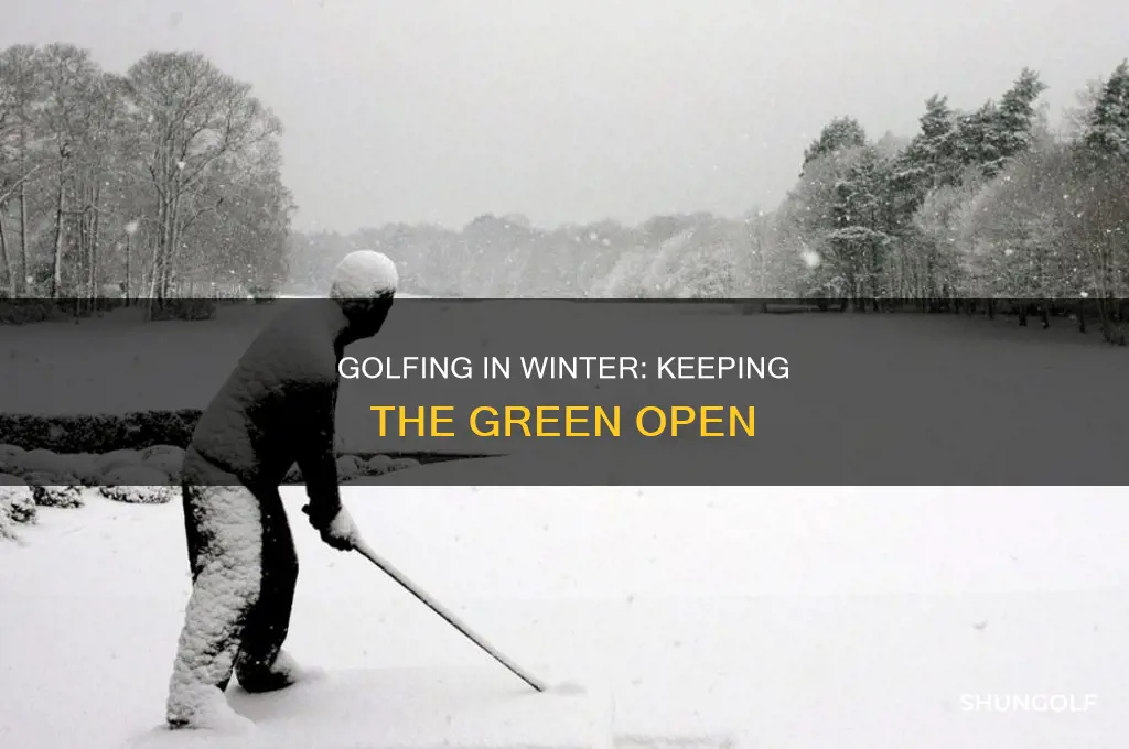 what is a winter green golf