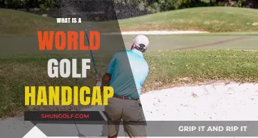 Understanding the World Golf Handicap System: A Beginner's Guide
