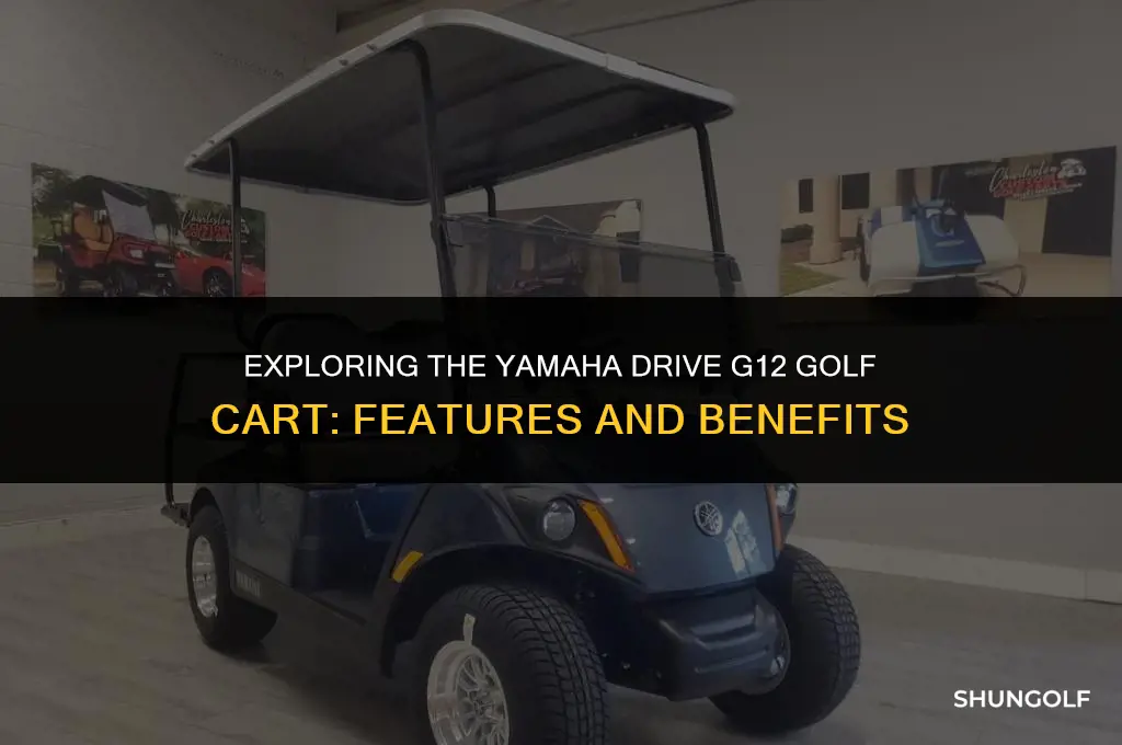 what is a yamaha drive g12 golf