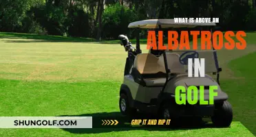 Beyond Albatross: Exploring Golf's Rarest and Most Prestigious Scores