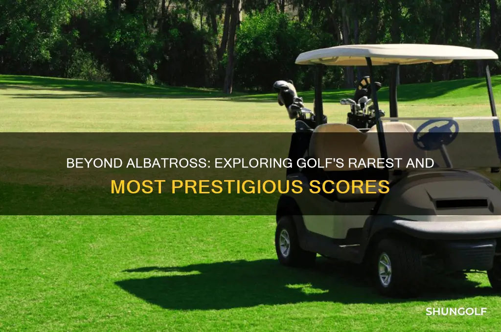 what is above an albatross in golf