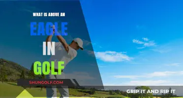 Golf's Scoring Hierarchy: What Surpasses an Eagle on the Course?