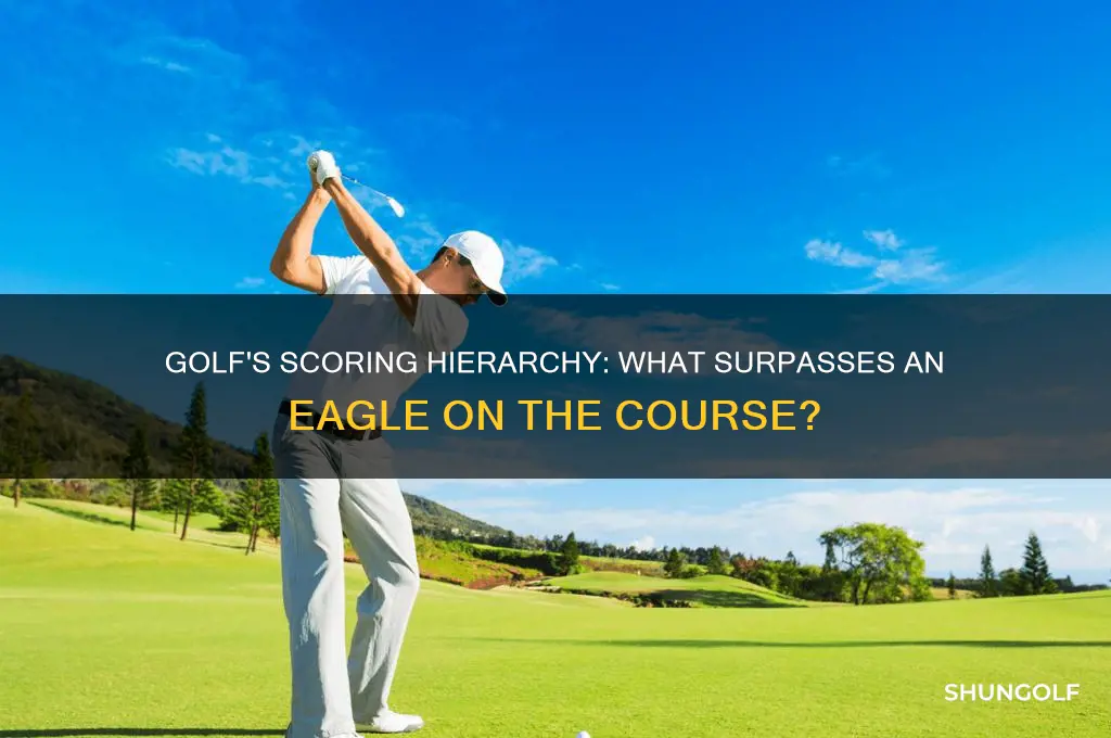 what is above an eagle in golf