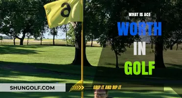 Golf Ace Worth: A Priceless Hole-in-One