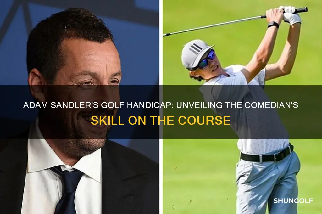 what is adam sandler