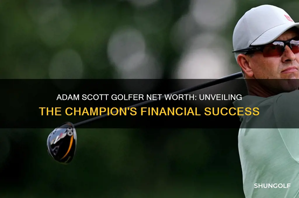 what is adam scott golfer net worth