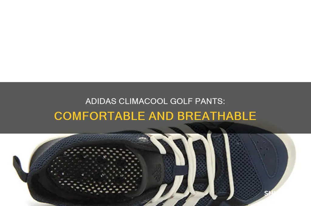 what is adidas climacool golf pants