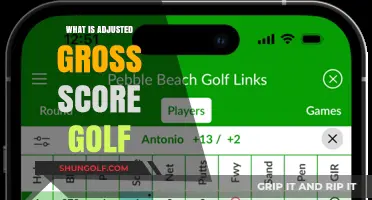 Understanding Adjusted Gross Scores in Golf