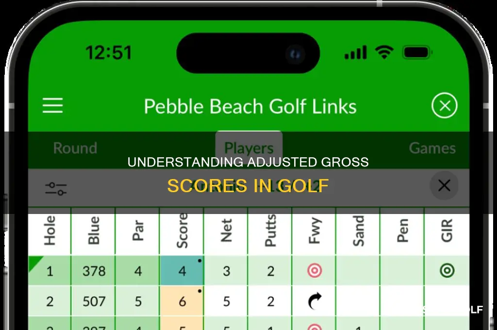 what is adjusted gross score golf