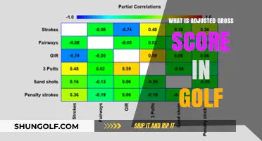 Understanding Adjusted Gross Score in Golf: A Comprehensive Guide