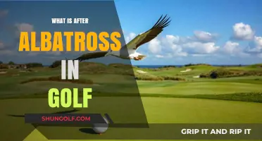 Golf's Rare Albatross and Beyond