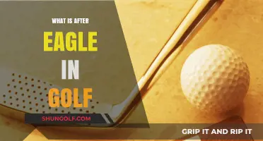 Golf Achievements: What Comes After an Eagle?