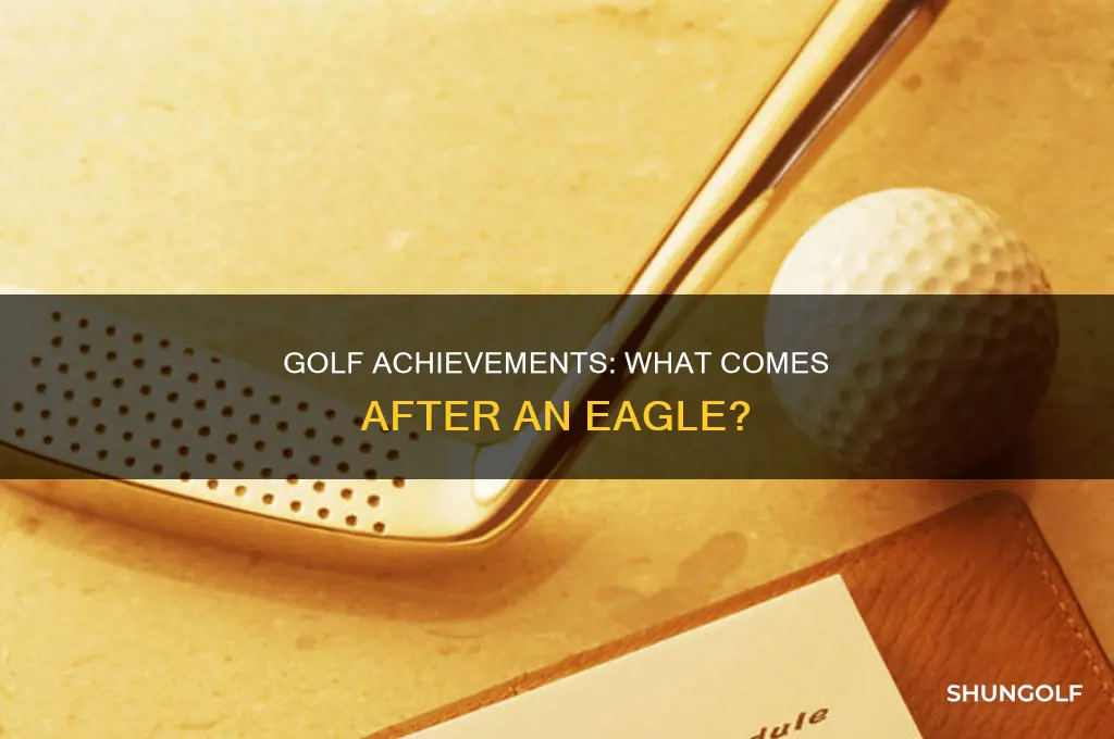 what is after eagle in golf